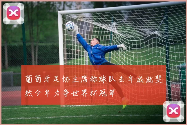 葡萄牙足协主席称球队去年成就斐然今年力争世界杯冠军