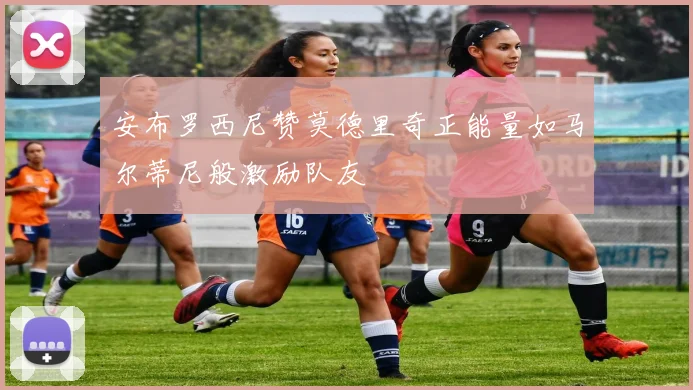 安布罗西尼赞莫德里奇正能量如马尔蒂尼般激励队友