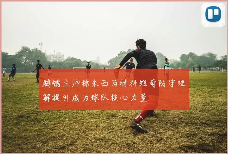 鹈鹕主帅称米西马特科维奇防守理解提升成为球队核心力量