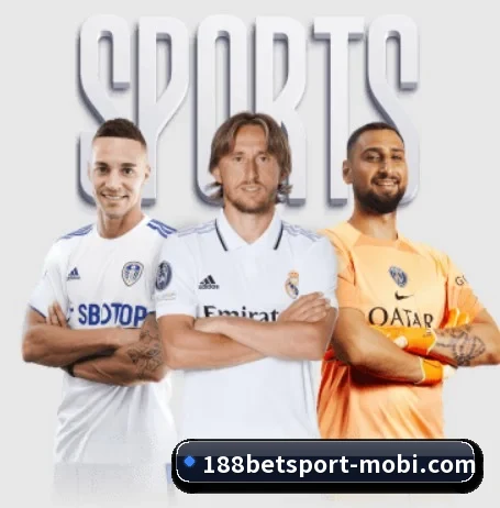 五大服务分区,信息按项目分类 - 188bet